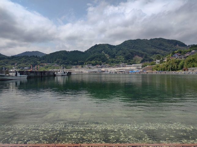 社会連携活動支援助成を取材！第2弾～唐丹町の地域交流の促進、活性化をめざして～